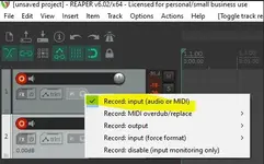 Reaper tracks, no way to select between channels one or two.webp