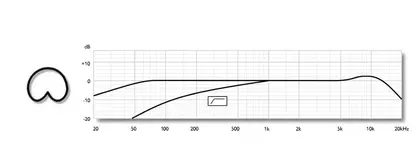 mic response 1.webp