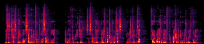 Audio Bleed3.webp