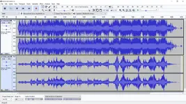 Daria Ganymed  Audacity.webp