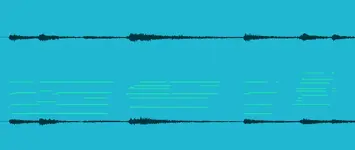 MIDI or Audio.webp