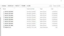 Zoom wav files.webp