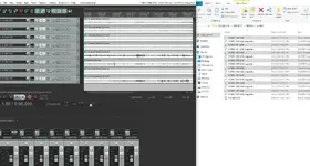 Zoom 2 Reaper.webp