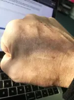 hands.webp