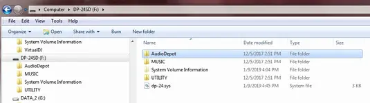 dp-24sd card.webp