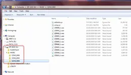 dp24sd folder song.webp