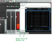 BlueCat and Reaper.webp