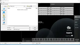 1.webp