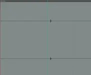 tick 1.webp