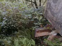 Untitled-80.webp