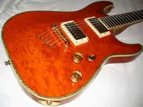 schecter 009 sml.webp