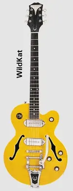 epi_wildkat_s.webp