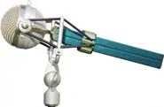 dragonfly.webp