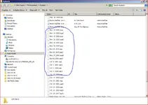 Capture.PNG XMAS.webp