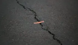 scars.webp
