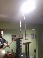 MSH-1 in action.webp