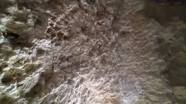 2022-04-25 13.38.12.webp
