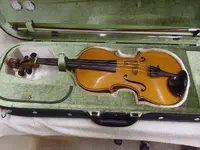 Violin_0016.webp