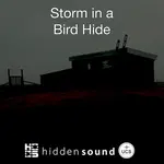 Storm in a Bird Hide cover 400 x 400.webp