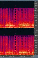spectral 2.webp
