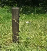post.webp