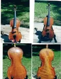violin1.webp