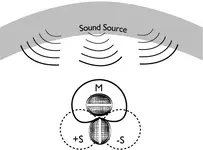mics.webp
