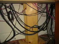 tangle1.webp