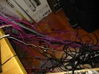 tangle2.webp