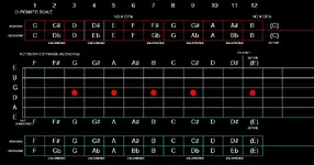 E STRING.webp