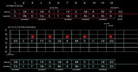 D STRING.webp