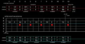 G STRING.webp