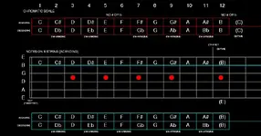 B STRING.webp