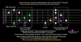 Reversed flt five root.webp