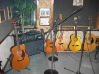 Real Guitars.webp
