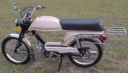 batavus.webp