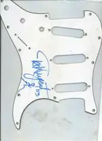 pickguard2.webp