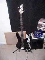 Bass.webp