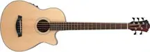 Ibanez1.webp