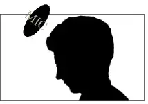mic.webp