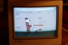 amiga-2.webp