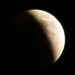 moonlight.webp