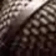 pouxhawk