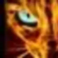 dainbramage