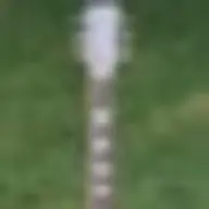 lpdeluxe