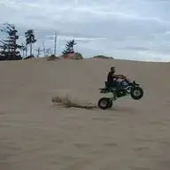 Devonkarhu