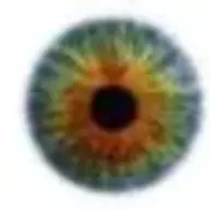 whyseye
