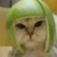 Vagodeoz