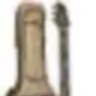 Washburn100