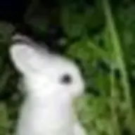 slowmotion